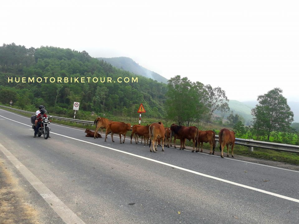 Central Vietnam by motorbike